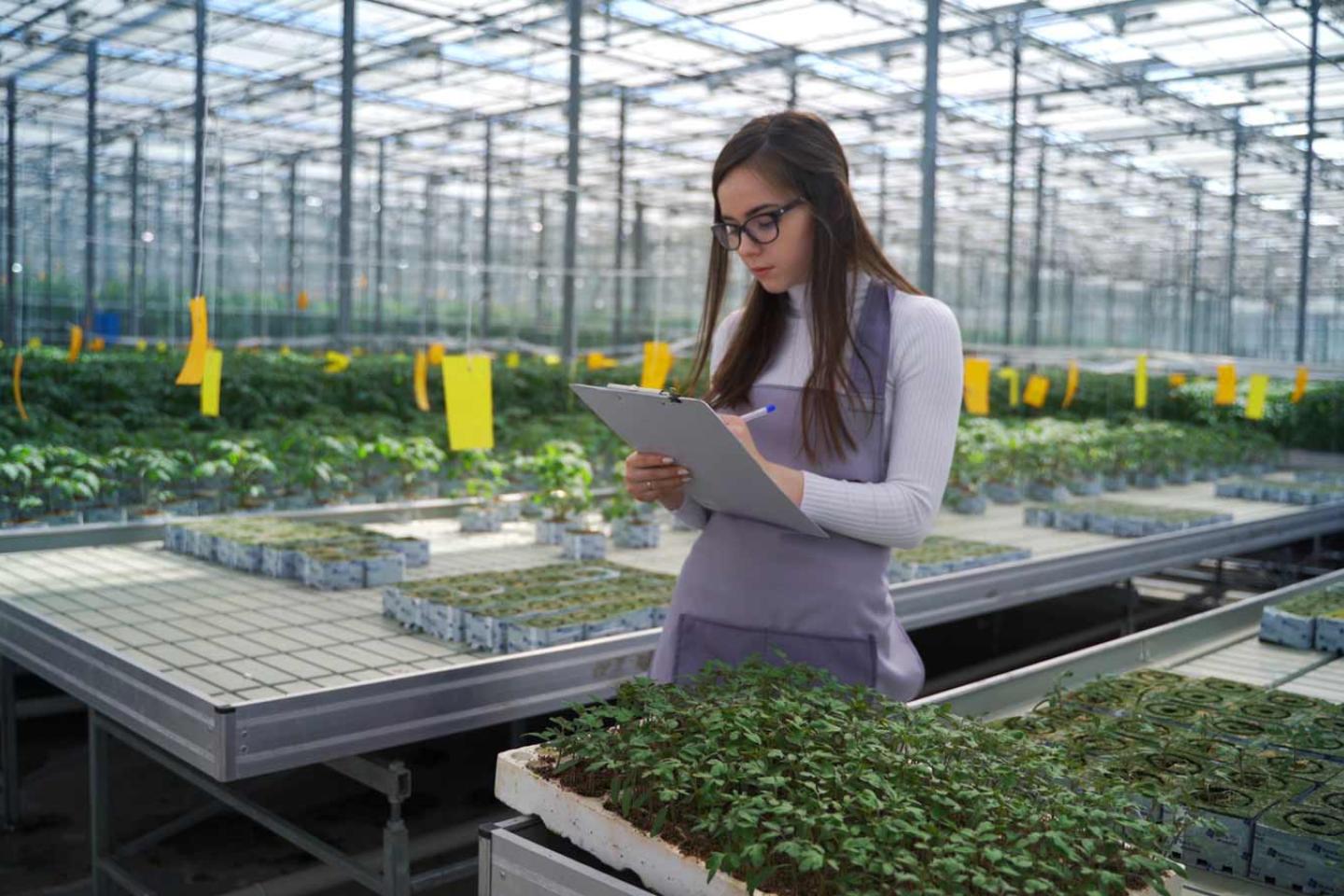 Picture of a woman tending plans in a glass hothouse
