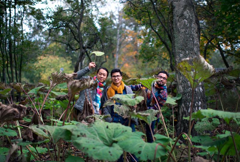 Picture of students in the woods