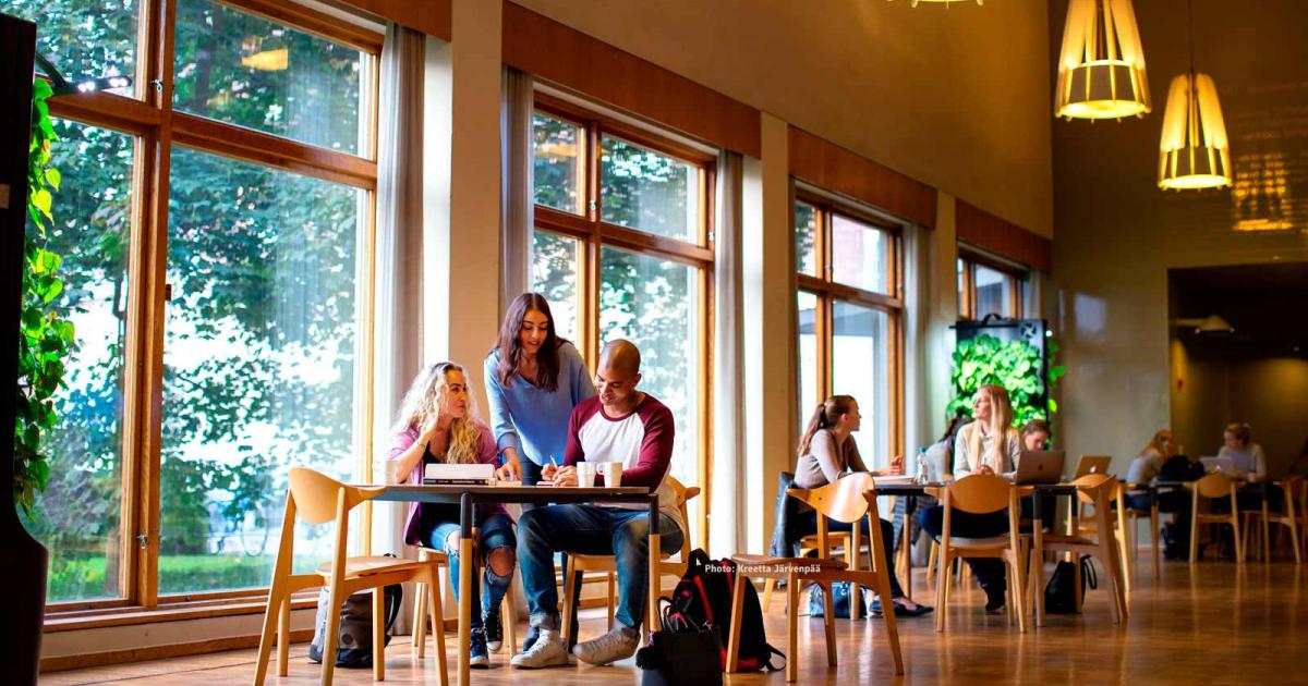 HOW MUCH IS UNIVERSITY IN FINLAND visual data 6